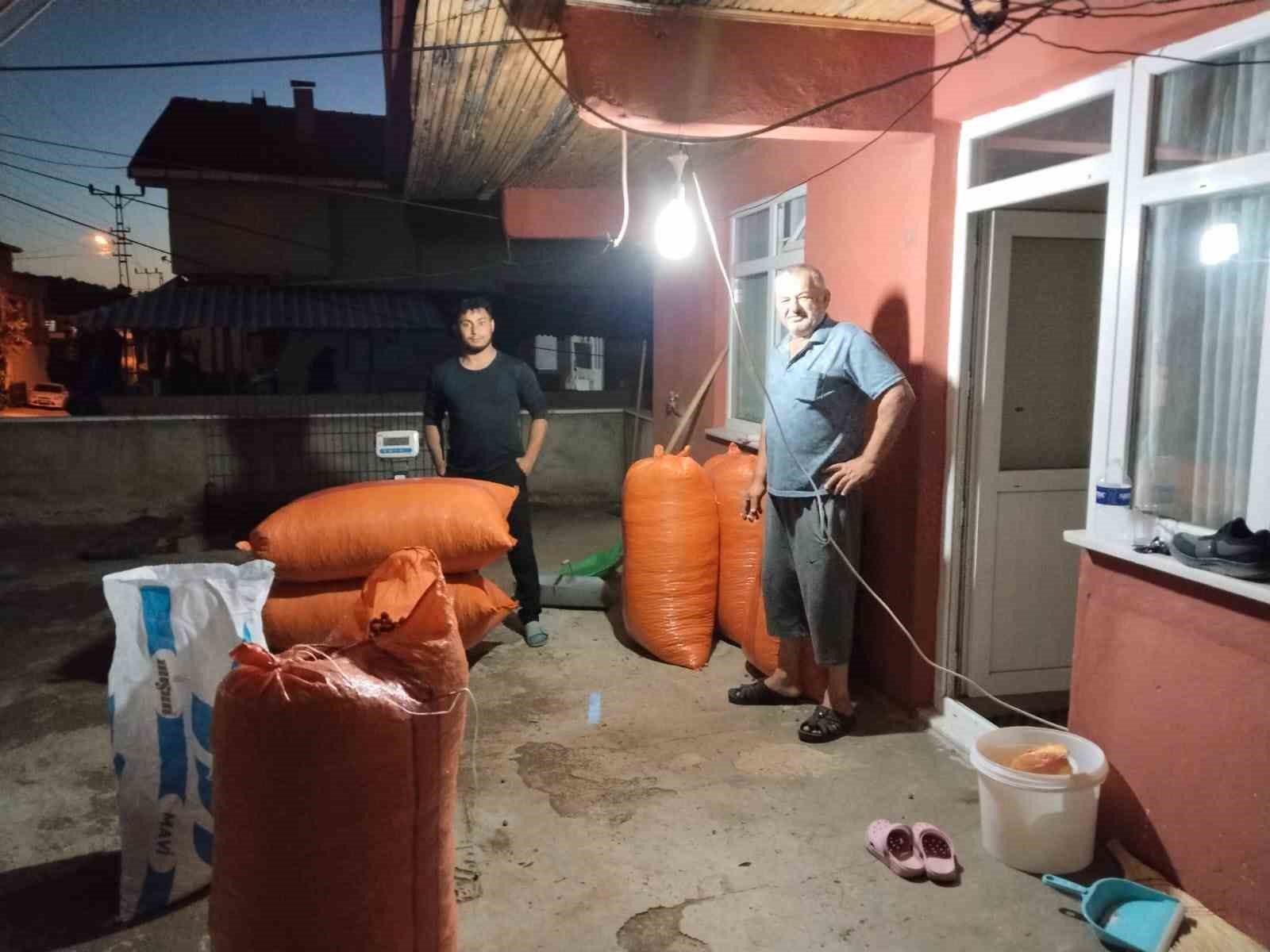 Alaplı’da hasat edilen fındıklar satışa çıktı