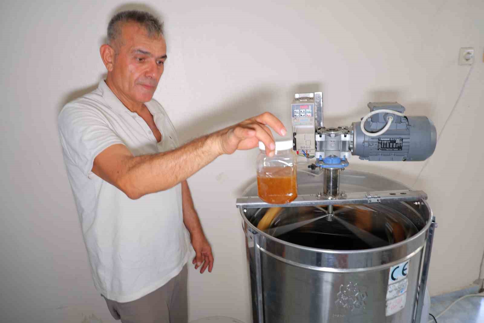 Kahramanmaraş’ta bu yıl 10 bin tonunun üzerinde bal rekoltesi bekleniyor