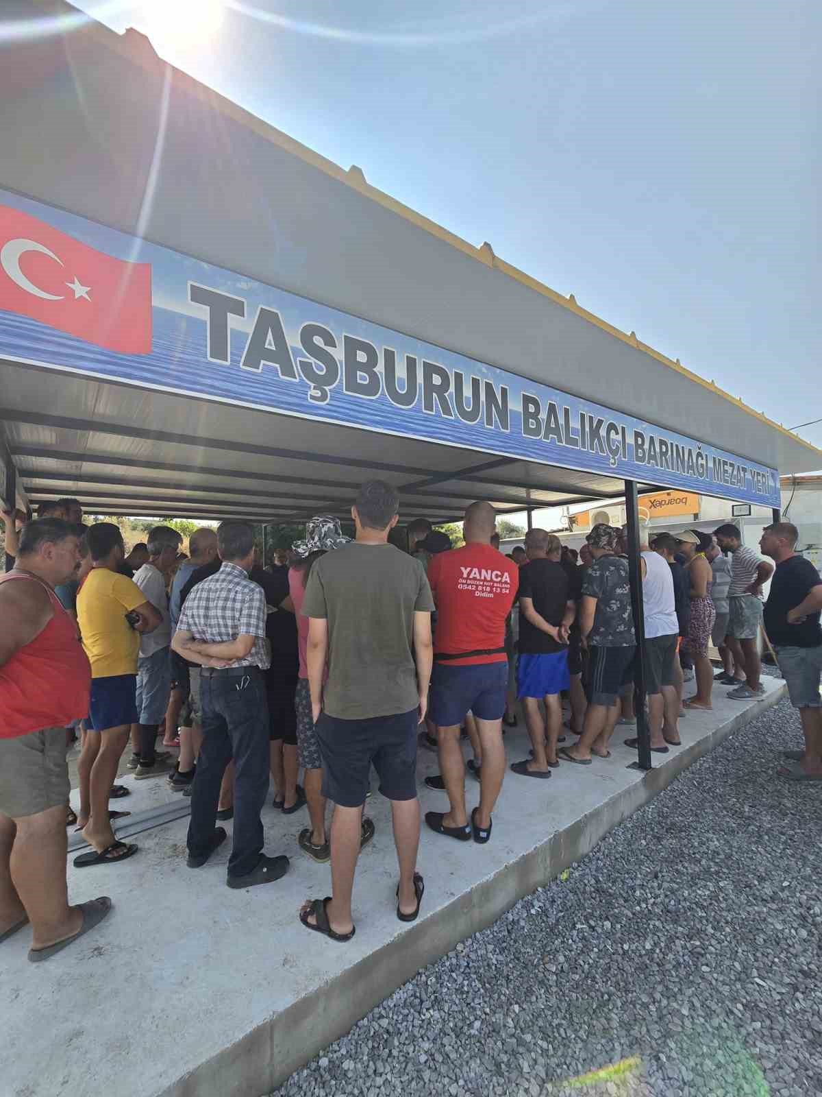 Didim’de ilk balık mezatı gerçekleştirildi