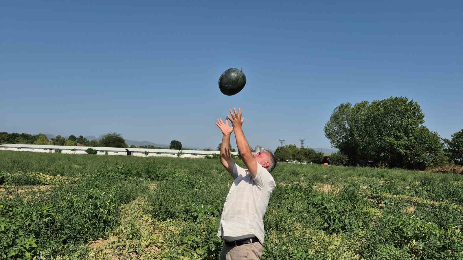 Artık kavun ve karpuz yerli tohumla Kasım’a kadar sofralarda olacak