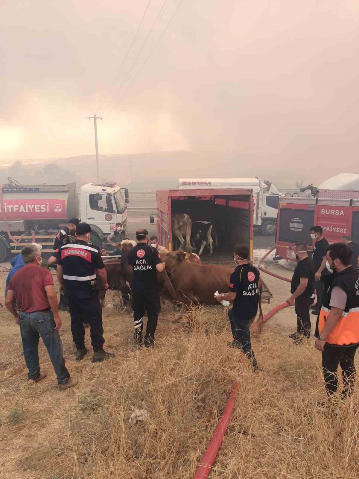 Bursa’daki orman yangınına 718 personel müdahale ediyor