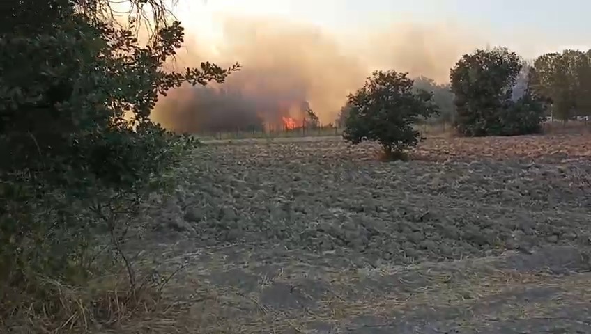 Bursa’da korkutan yangın