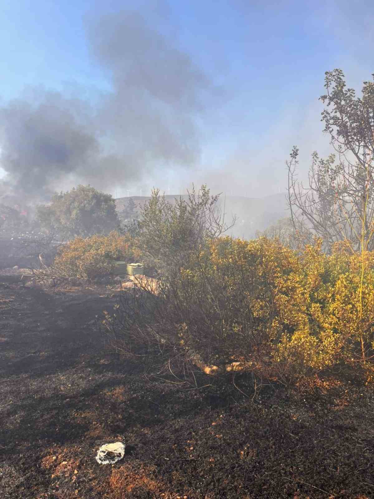 Didim’de makilik ve zeytinlik yangını korkuttu