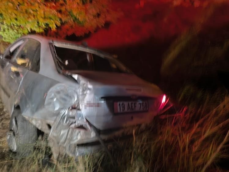 Çorum’da kontrolden çıkan otomobil ağaca çarptı: 2 yaralı