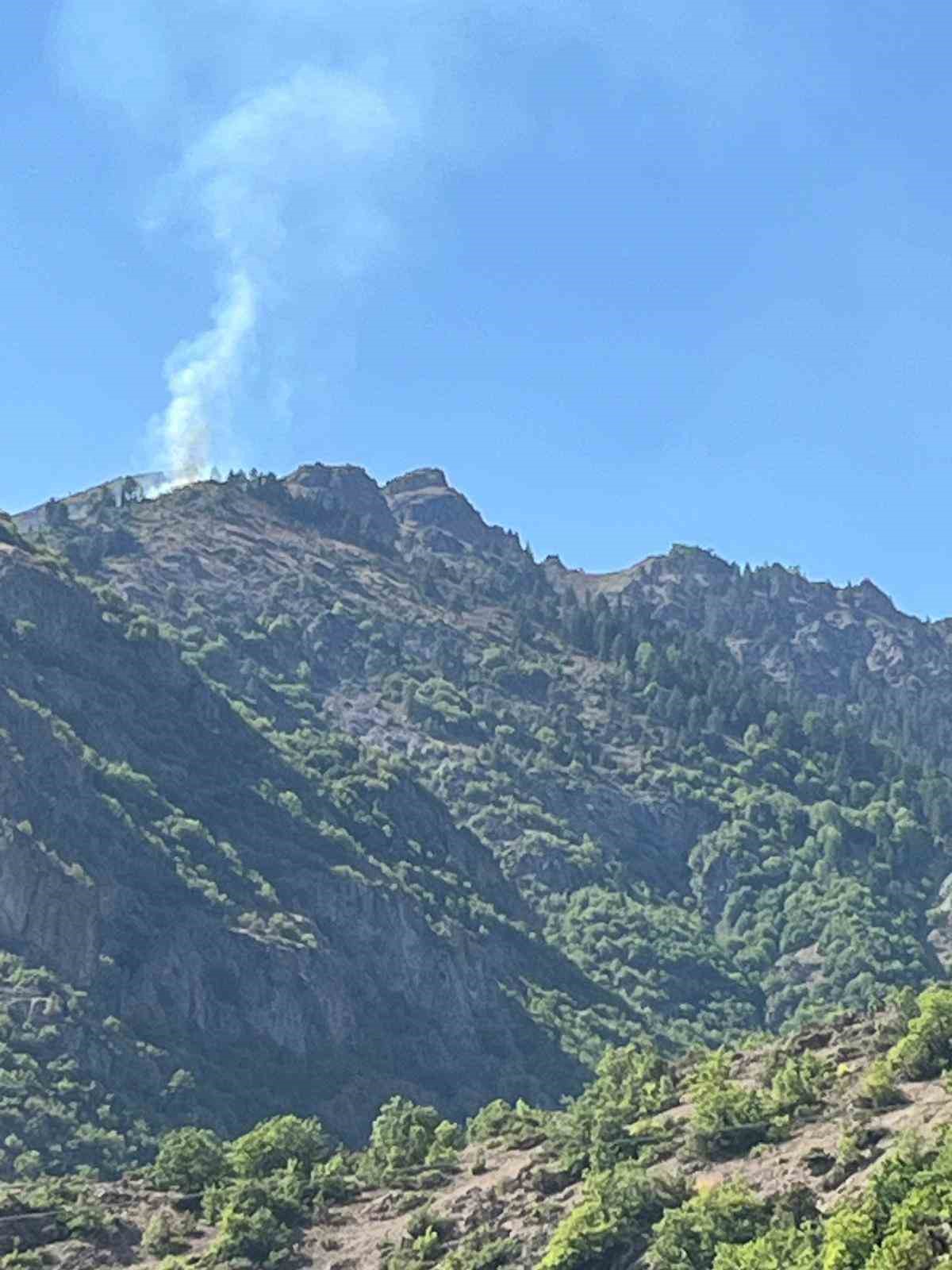 İspir’de bitki örtüsü yangını korkuttu