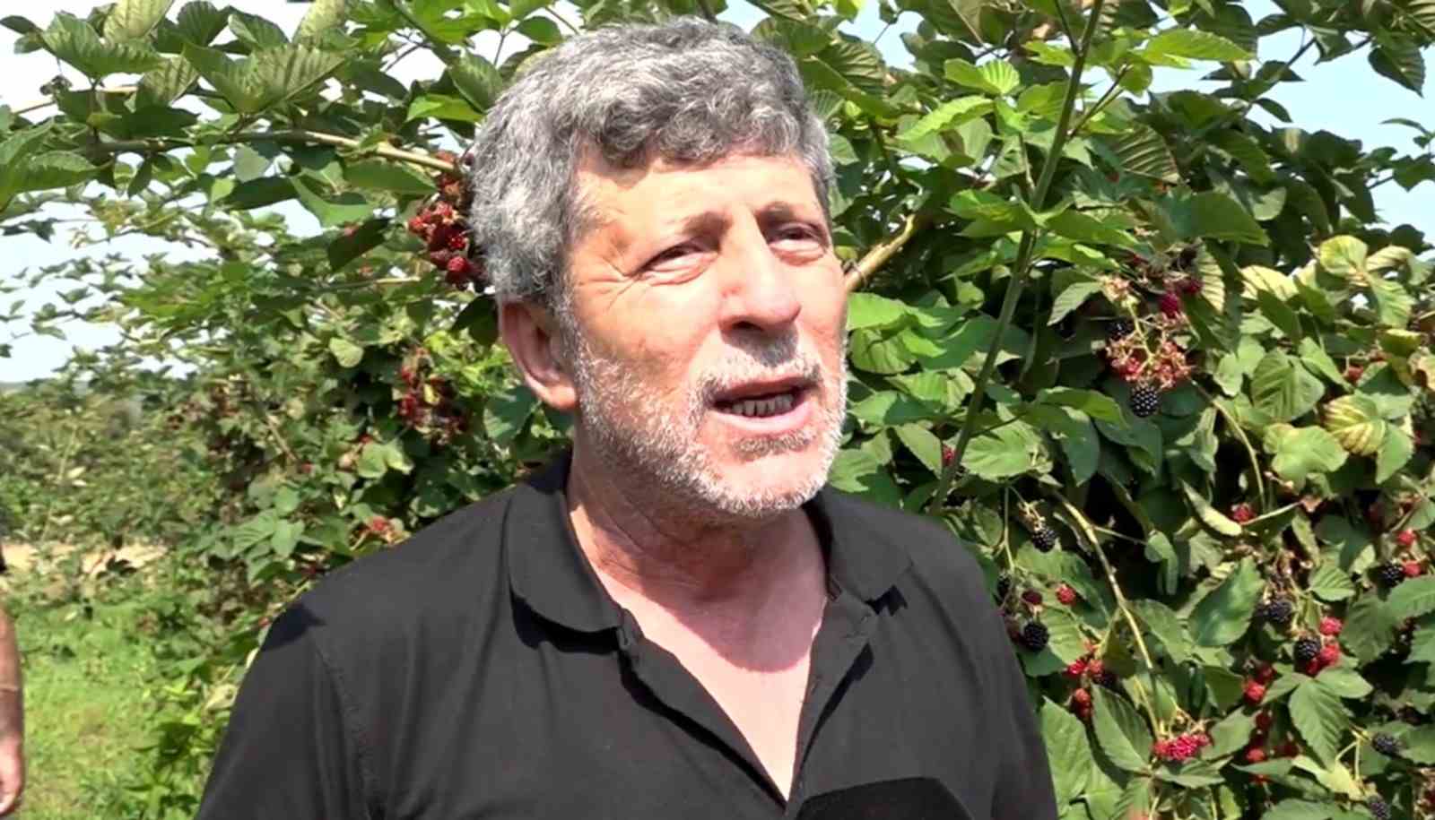 Ahududu, merkezi Bursa’da yok olmak üzere