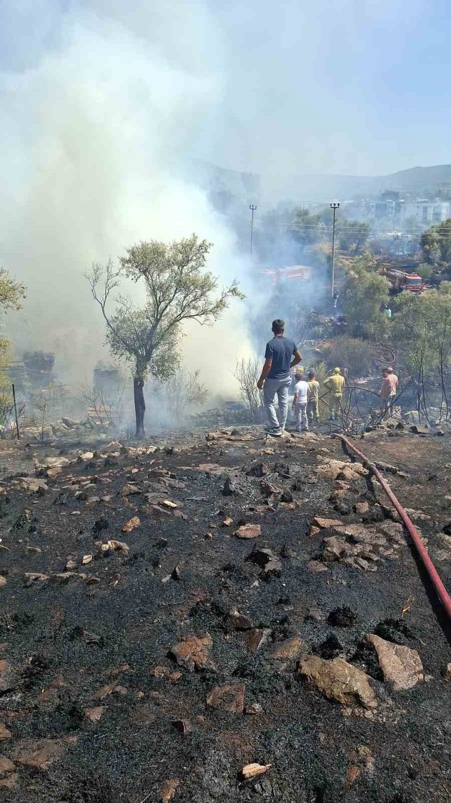 Bodrum’da otluk ve zeytinlik alanda yangın