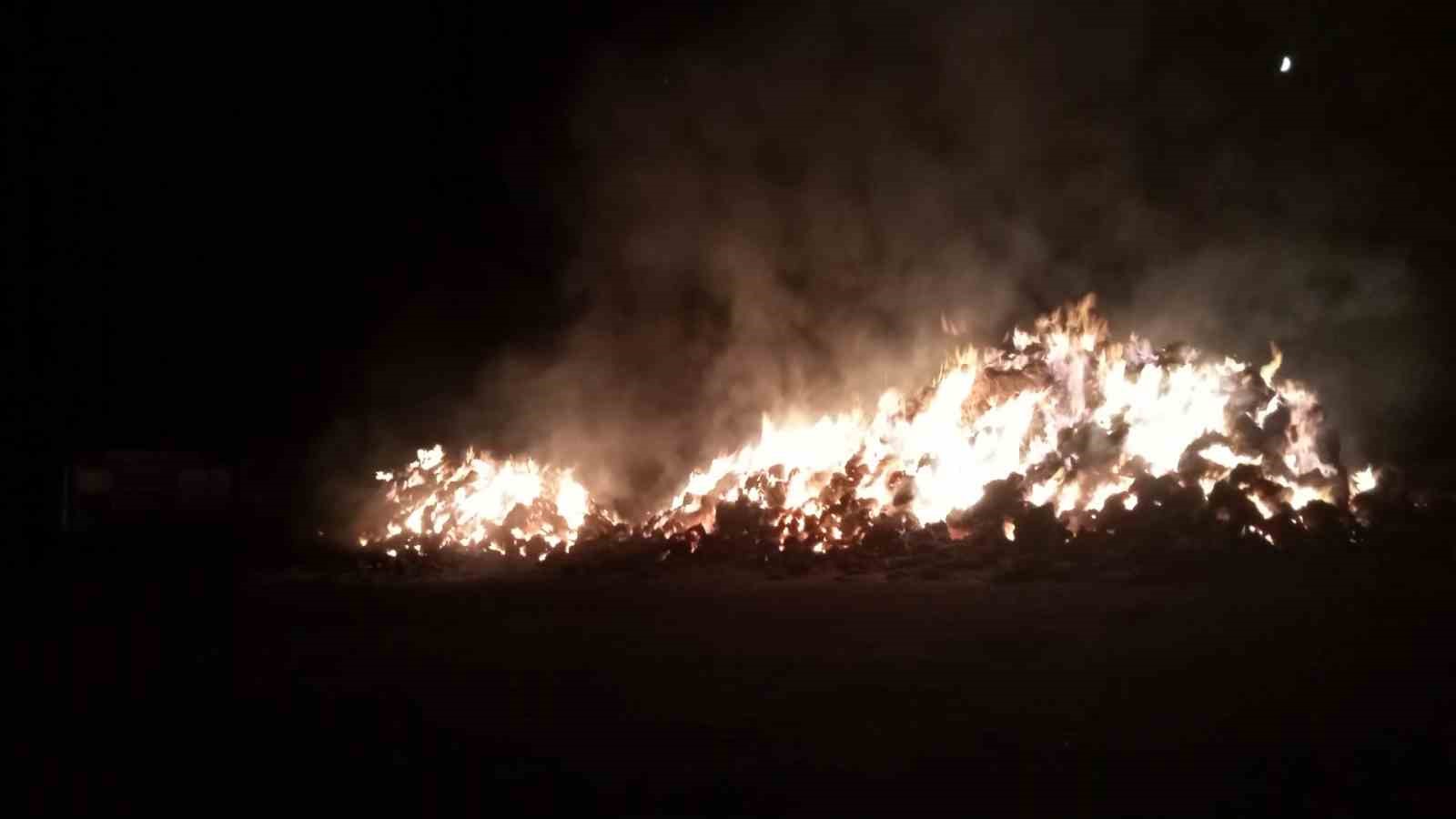 Erzurum’oa ot yangını