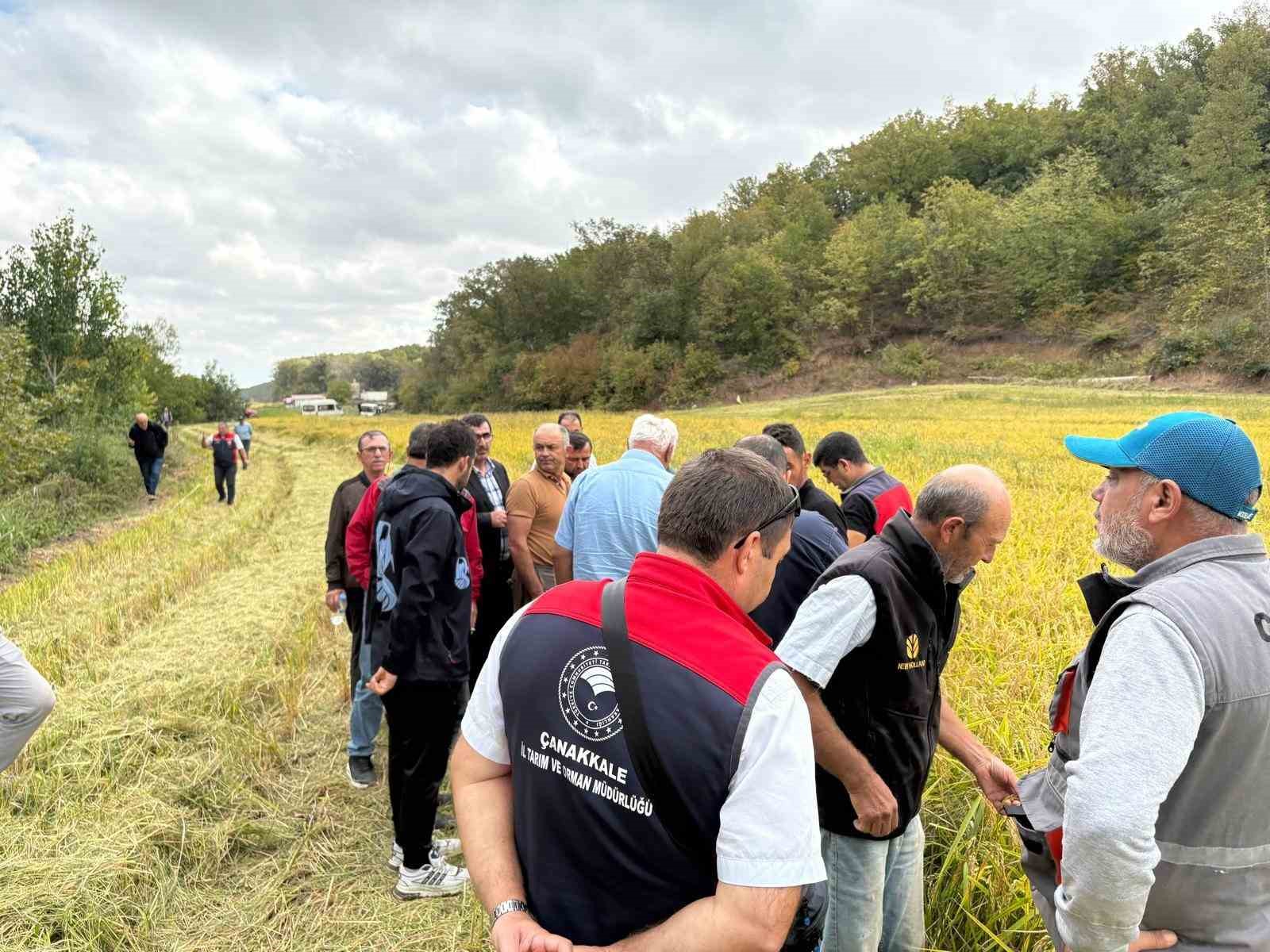 Çanakkale’de çeltikte damlama sulamayı incelediler