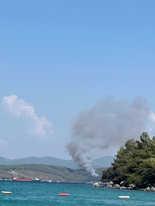 Bodrum’da orman yangını başladı