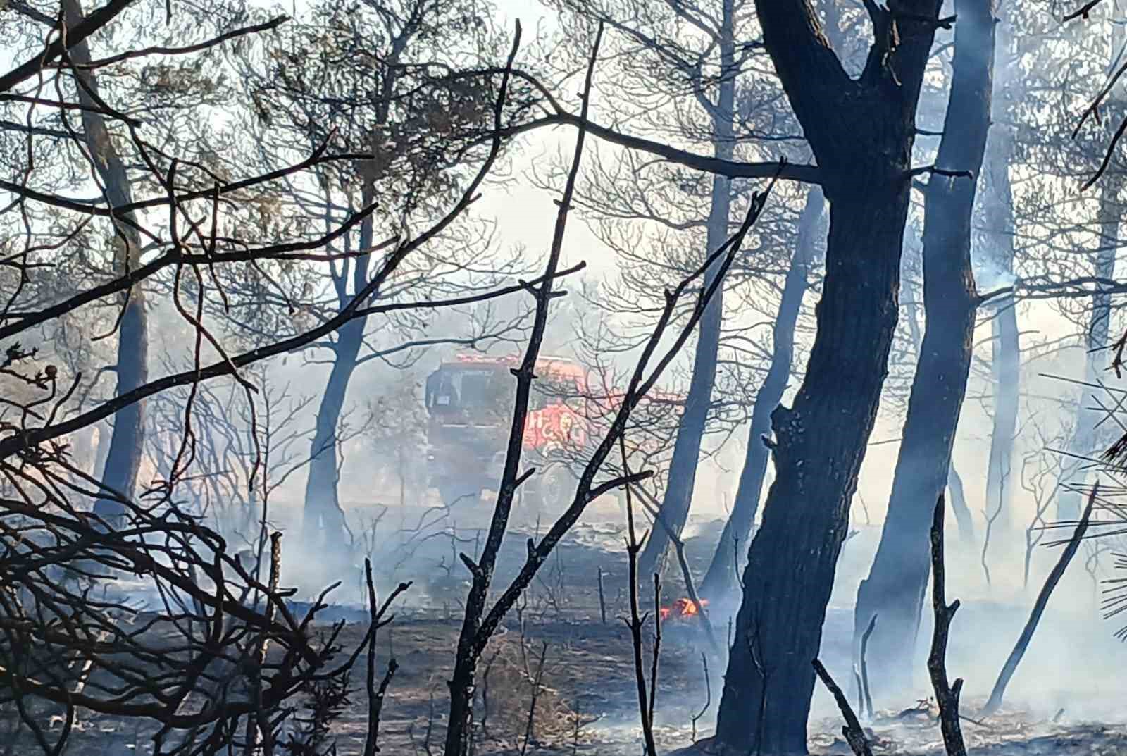 Çanakkale’de ormanlık alanda çıkan yangın kontrol altına alındı