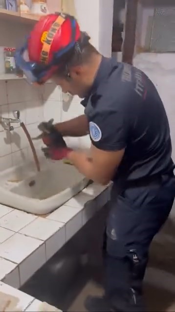 Yaramaz kedi, kaza kaza kendini toprağa gömdü