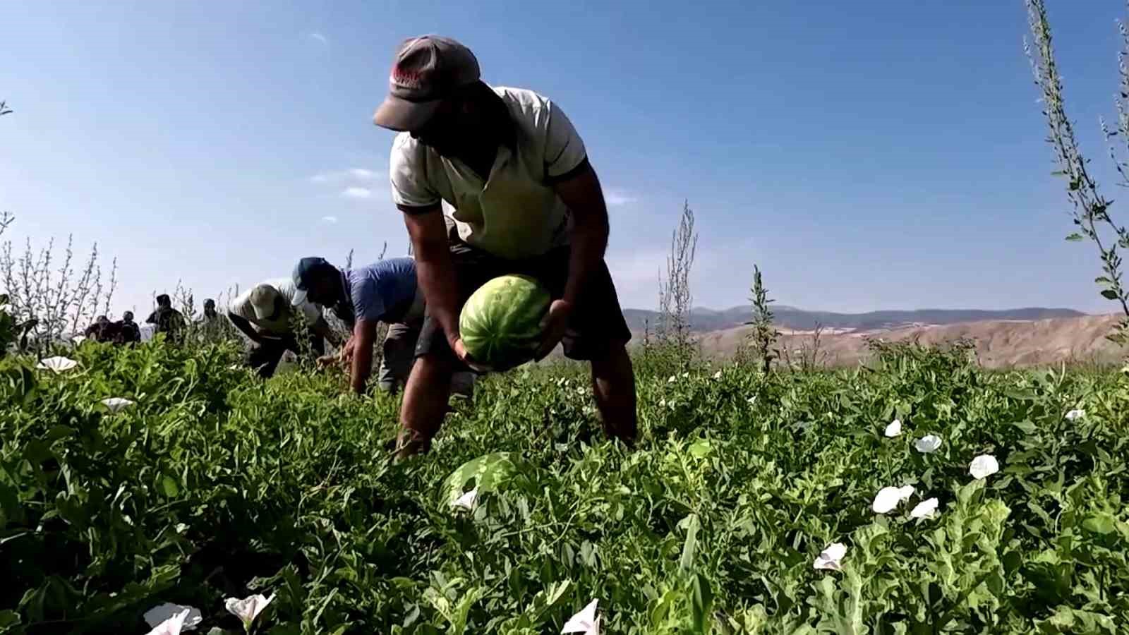 Karpuzun fiyatı 70 kilometrede 30’a katlanıyor