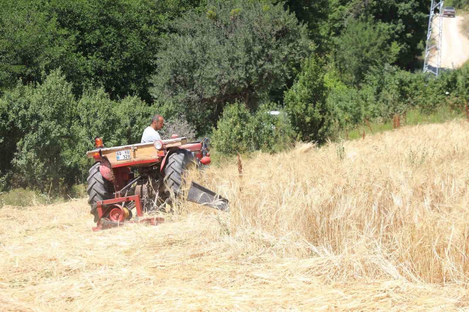 İstanbul’dan Ordu’ya uzanan çiftçilik öyküsü başarıya dönüştü