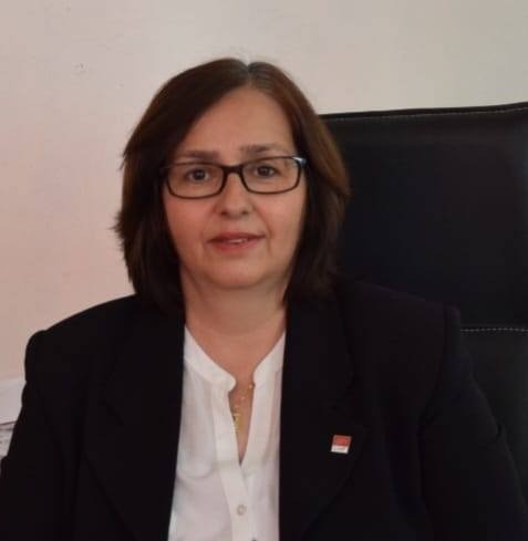 Yenipazar’da CHP ilçe başkanı ve yönetimi istifa etti