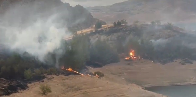 Elazığ’da kırsal alan yangını