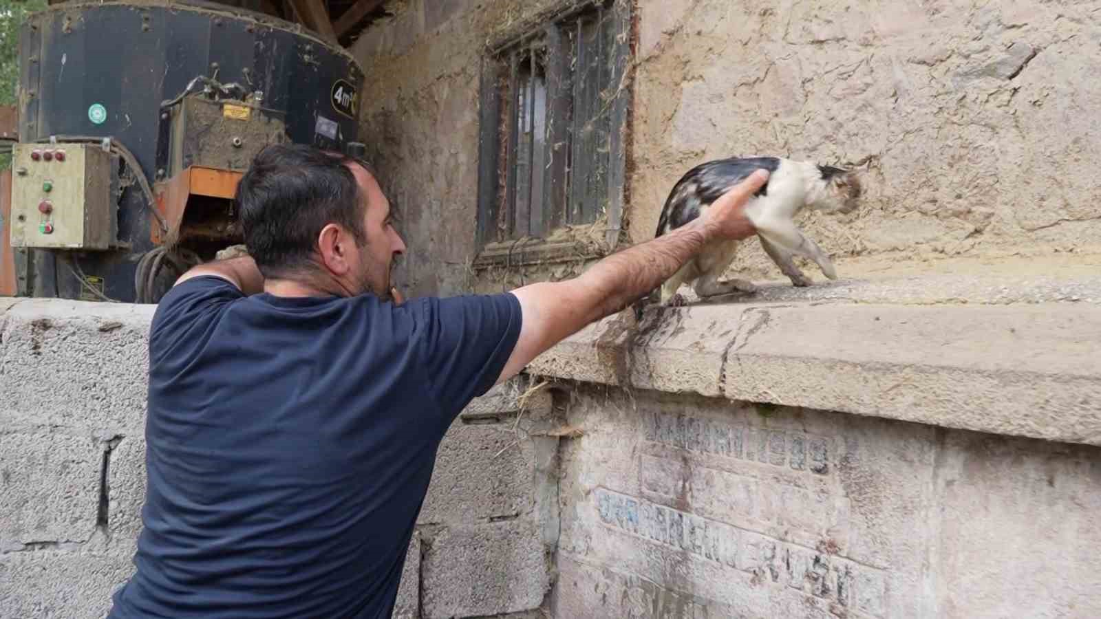 Alevlerin içinde kurtardığı kediye adeta can suyu verdi