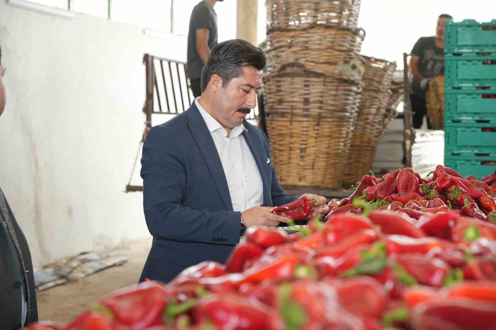 Yenişehir’in tarım ürünleri Libya yolunda