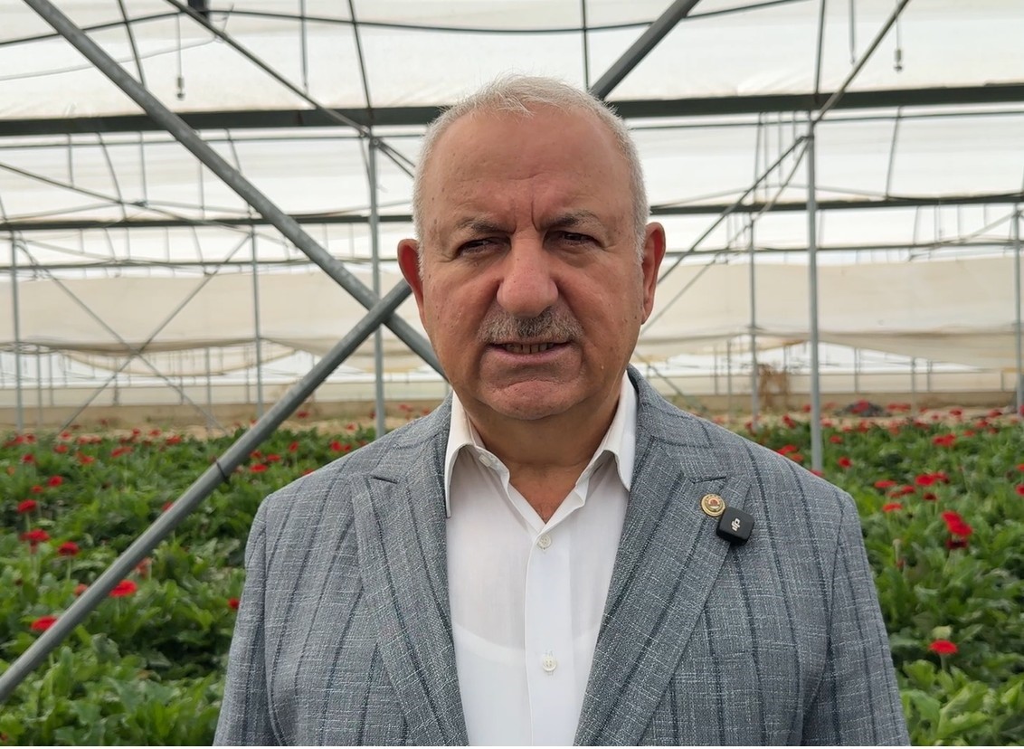 Tokat çiçekçilikte bölge lideri oldu; 600 dekarda 20 çeşit çiçek yetiştiriliyor