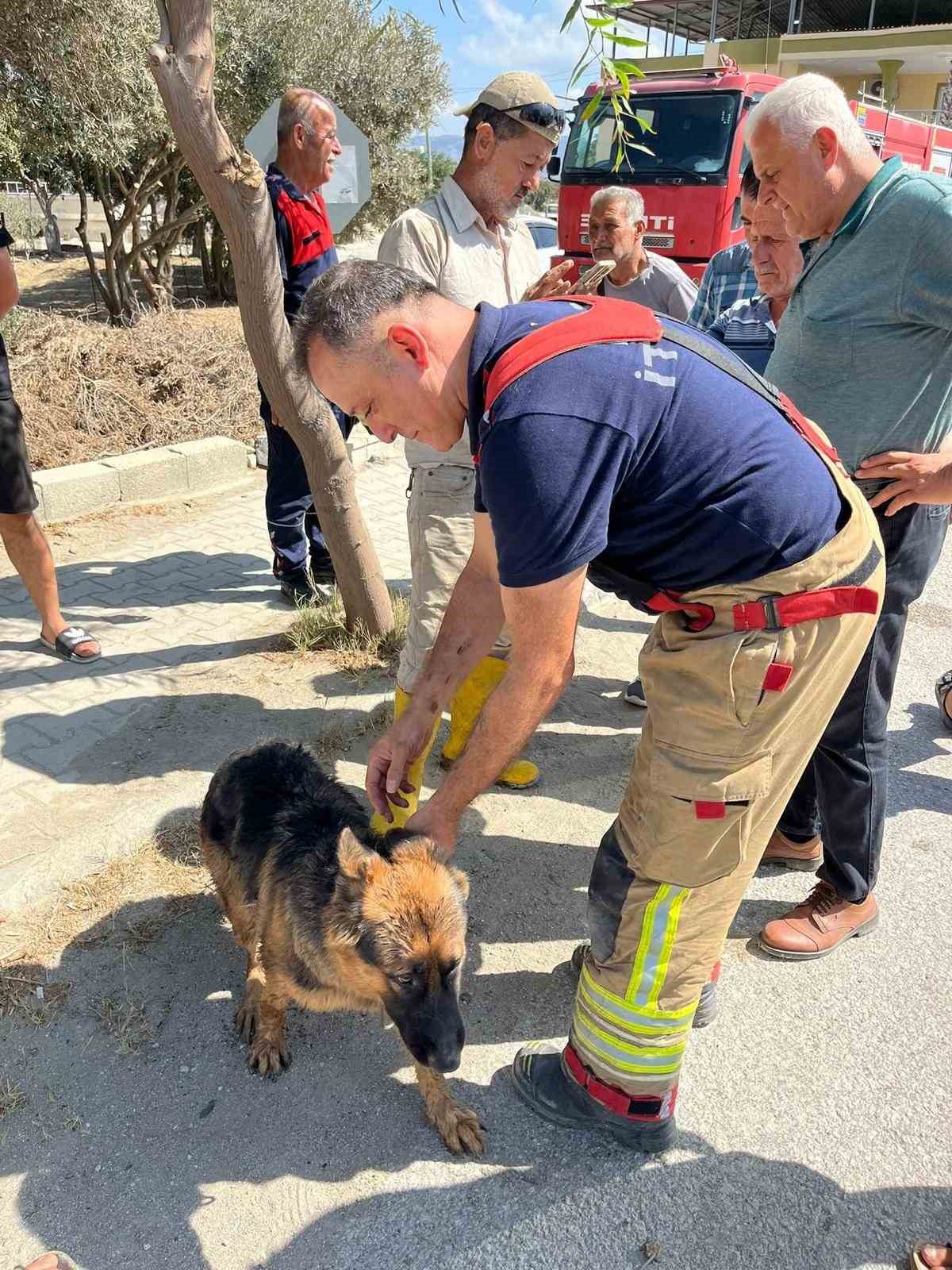 Minibüsün altında sıkışıp mahsur kalan köpeği itfaiye kurtardı