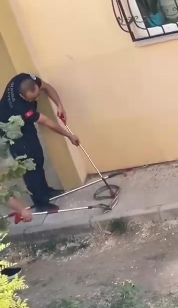 Konut bahçesinde 1,5 metre uzunluğunda yılan görüldü