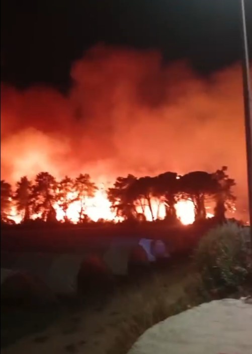 Antalya Aksu’da ormanlık alanda yangın