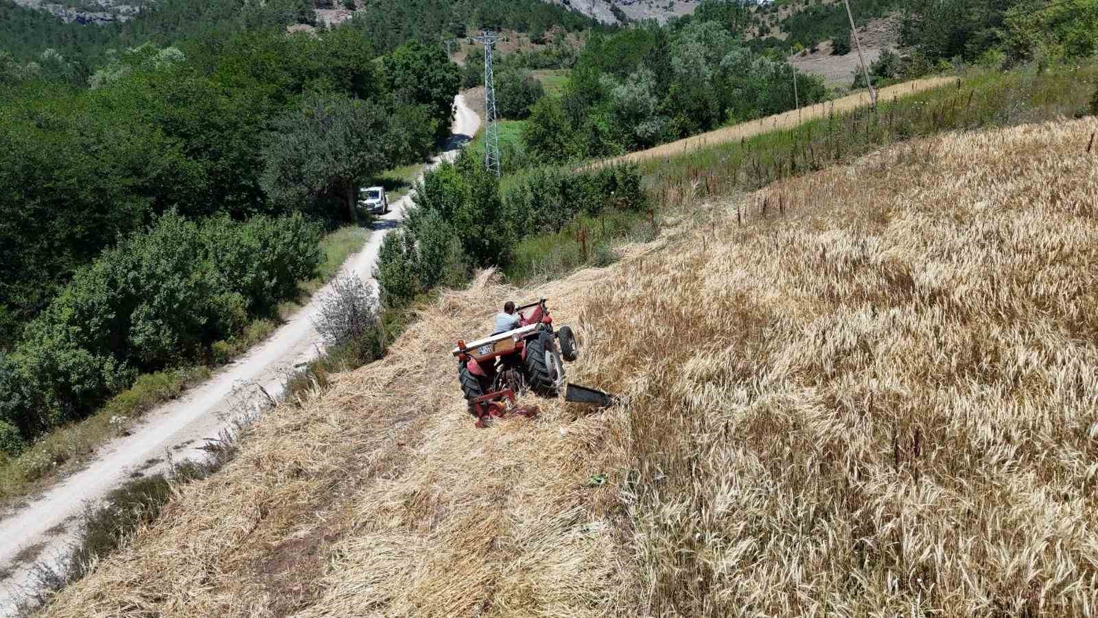 Megakenti bırakıp Ordu’da  tarıma yöneldi: 200 dönüm atıl araziyi tarıma kazandırdı
