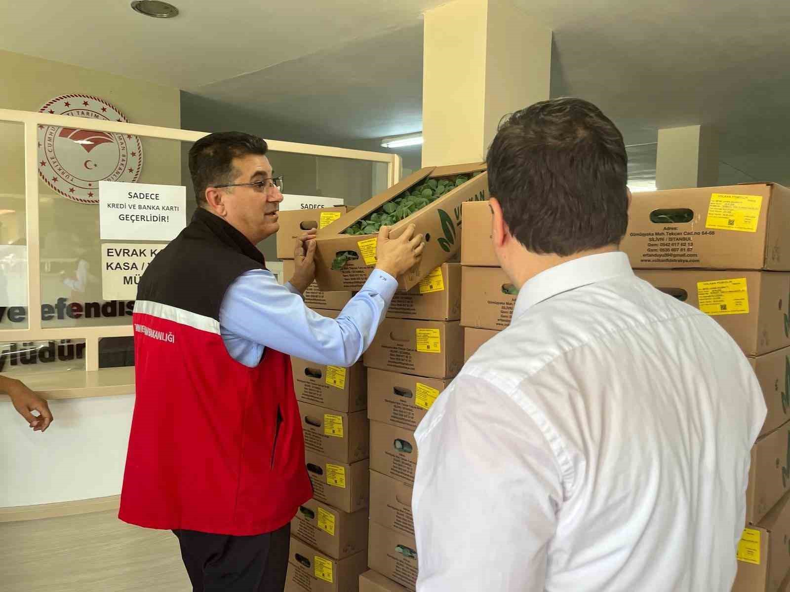 Tekirdağ’da genç çiftçilere fide dağıtımı yapıldı