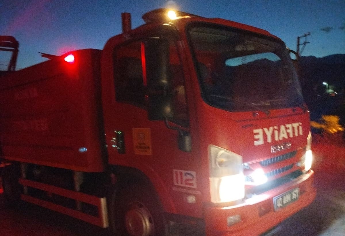 Çıktığı ağaçta mahsur kalan kediyi itfaiye kurtardı