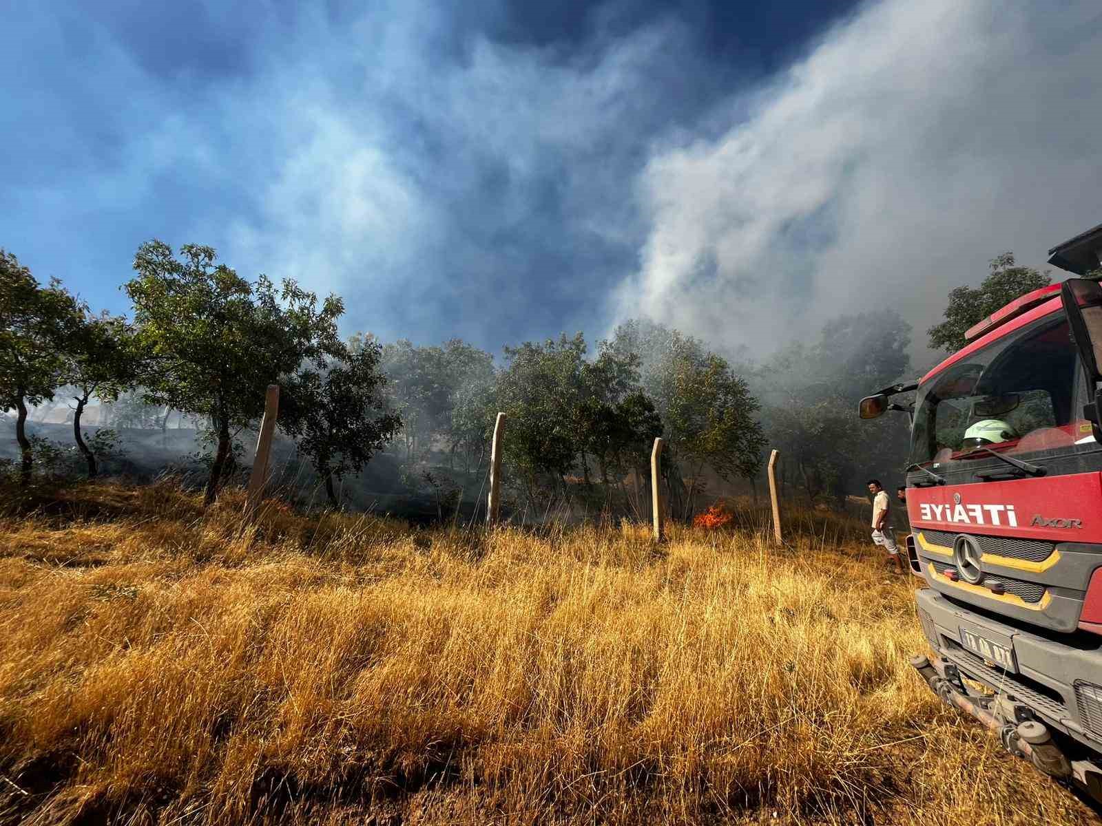 Bitlis’te çıkan yangın ağaçlara zarar verdi