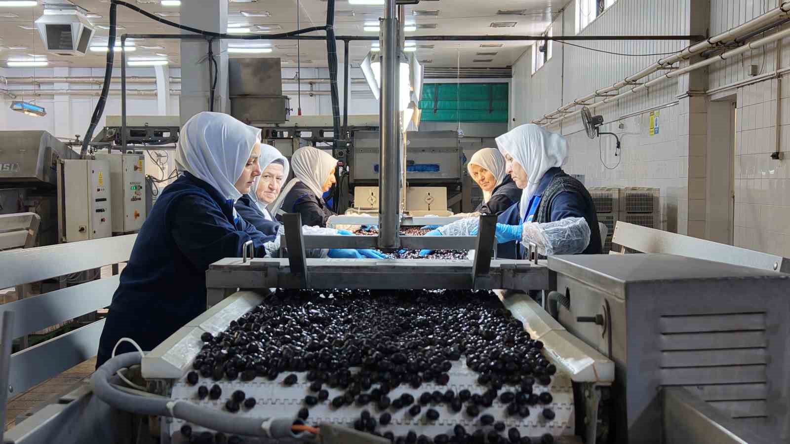 Marmarabirlik vites büyüttü kozmetik ve çikolata sektörüne de giriyor