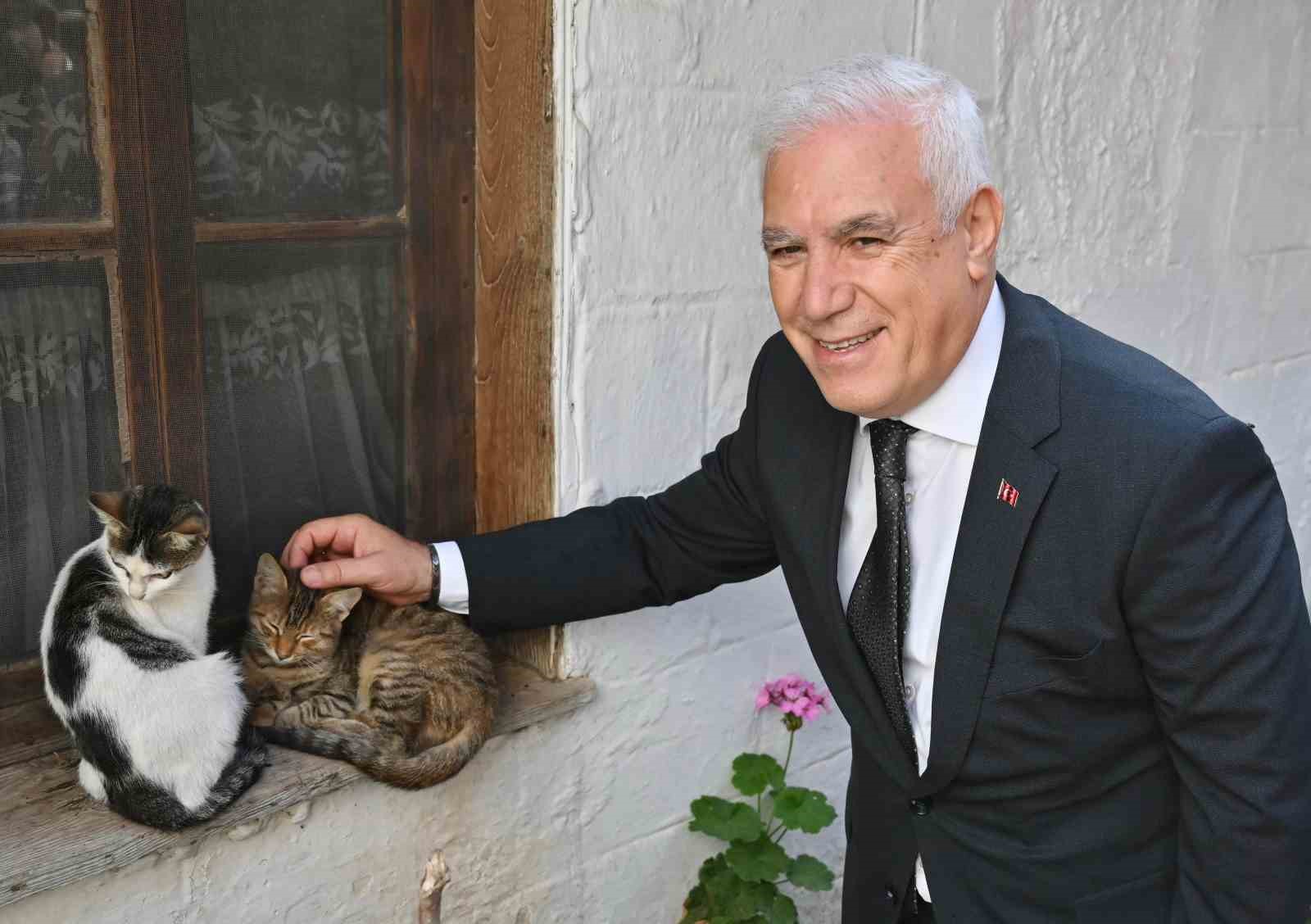 Büyükşehir’den can dostlara şefkat eli